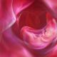 Rahim içi fetal hipoksi: belirtiler, nedenler, tedavi ve korunma