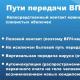 Папилломы на лице – от чего появляются и как от них избавиться без последствий